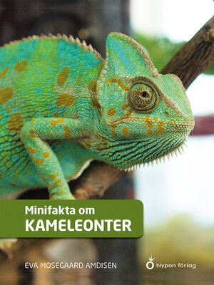 cover image of Minifakta om kameleonter